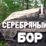 Серебряный Бор выбрал себе нового главу - Nerungri.Ru
