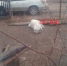 0EF31304-AD0D-4868-BB3B-F9C1D1F4B306 - NeruLife.Ru