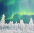 1a12d28d-8537-4893-84f2-32dc0f51aee5 - NeruLife.Ru