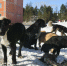 i - NeruLife.Ru
