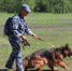 IMG_0918_novyy_razmer-392xx294 - NeruLife.Ru