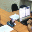 IMG_20220706_110320 - NeruLife.Ru