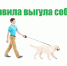 Уважаемые владельцы домашних животных, соблюдайте правила выгула собак - Город Нерюнгри