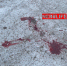 IMG_20230322_115655_916 - NeruLife.Ru