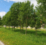 IMG_20230623_165732_072 - NeruLife.Ru