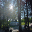 IMG20230618180822 - NeruLife.Ru