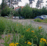 IMG20230726173500 - NeruLife.Ru