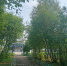IMG20230729144032 - NeruLife.Ru
