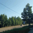 IMG20230715190504 - NeruLife.Ru