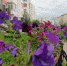 IMG20230814171616 - NeruLife.Ru