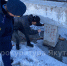IMG_20231115_125827_441 - NeruLife.Ru