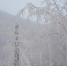IMG_20231212_095957_553 - NeruLife.Ru