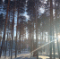 IMG20231225135205 - NeruLife.Ru