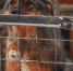 IMG_20231229_152330_600 - NeruLife.Ru