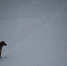 IMG_20240109_153458 - NeruLife.Ru