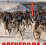 Нерюнгринский район готовится к Дню оленевода-2024 - Нерюнгринский район