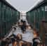 imgpreview - NeruLife.Ru