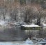 IMG_20240430_085746_156 - NeruLife.Ru