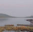 2024-06-05_10-14-11 - NeruLife.Ru