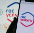 Gosuslugi russian government application - NeruLife.Ru