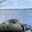 IMG_20240614_114437_587 - NeruLife.Ru