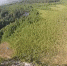 IMG_20240729_095002_024 - NeruLife.Ru