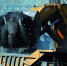 XXL_height - NeruLife.Ru