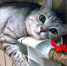 ruua76b748730 - NeruLife.Ru
