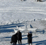 IMG_20241009_094438_671 - NeruLife.Ru