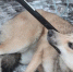 i (4) - NeruLife.Ru