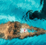 male-swimmer-swimming-water-pool_23-2148687632 - NeruLife.Ru