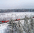 IMG_20250219_152844_465 - NeruLife.Ru