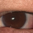 IMG_20250507_145228_574 - NeruLife.Ru