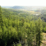 IMG_20250604_103300_171 - NeruLife.Ru