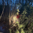 IMG_20250605_112417_185 - NeruLife.Ru
