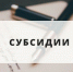Конкурсный отбора на предоставление единой субсидии - Город Нерюнгри