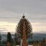 IMG_20250814_122229_763 - NeruLife.Ru