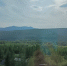 IMG-20250714-WA0041 - NeruLife.Ru