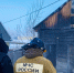 IMG_20251029_114317_760 - NeruLife.Ru
