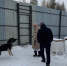 IMG_20251103_112911_809 - NeruLife.Ru