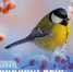 IMG_20251114_111222_983 - NeruLife.Ru