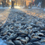 IMG_20251119_100507_035 - NeruLife.Ru