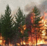 IMG_20251127_114853_906 - NeruLife.Ru