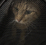 IMG_20251202_102555_342 - NeruLife.Ru