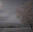 IMG_20260106_094053_148 - NeruLife.Ru
