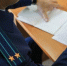 IMG_20250703_113431_684 - NeruLife.Ru