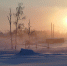 IMG_20260126_084627_312 - NeruLife.Ru