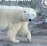 IMG_20260302_125838_743 - NeruLife.Ru