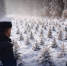 IMG_20260312_152658 - NeruLife.Ru