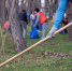 IMG_20260317_130349_957 - NeruLife.Ru